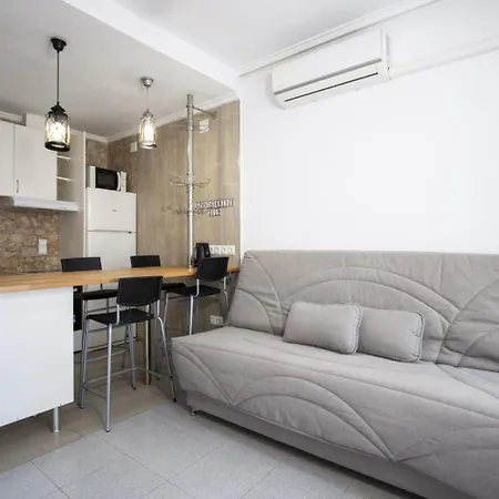 Alegria Id49 公寓 托雷维耶哈