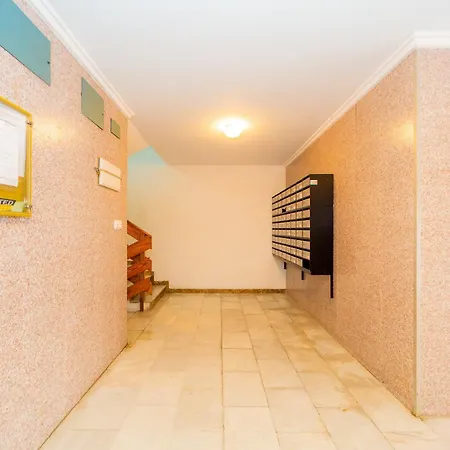 Alegria Id49 * 또레비에하